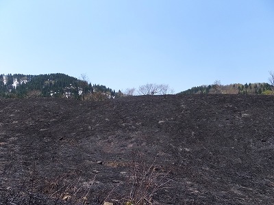 DSCF6440.jpg