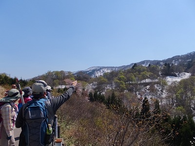 DSCF6479.jpg