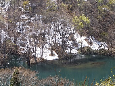 DSCF6480.jpg