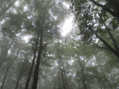 DSCF6811.jpg