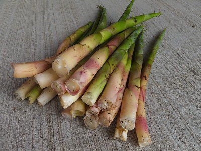 DSCF6873.jpg