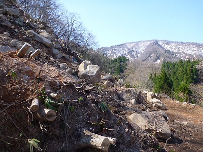 P1040131.jpg