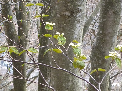 P1040145.jpg