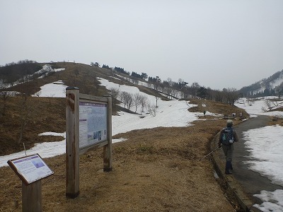 P1040156.jpg