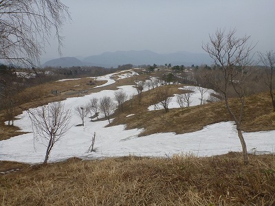 P1040158.jpg