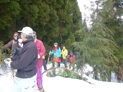 P1050062.jpg
