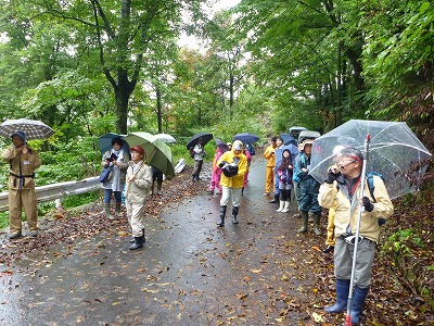 P1050267.jpg