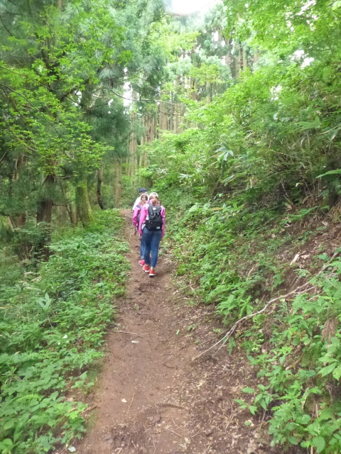P1070338.jpg