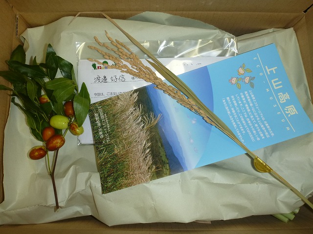 P1080290.jpg