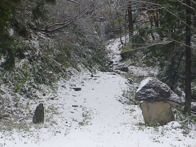P1080452.jpg