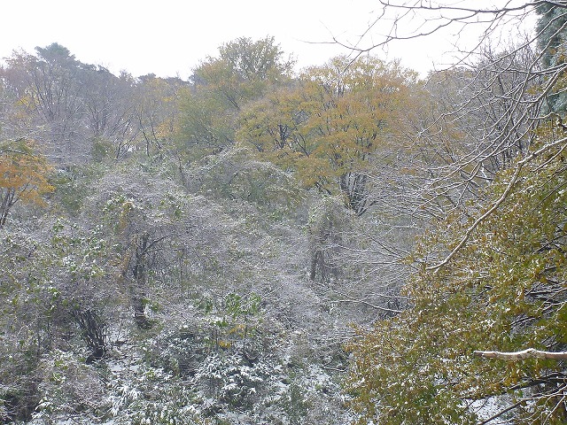 P1080456.jpg
