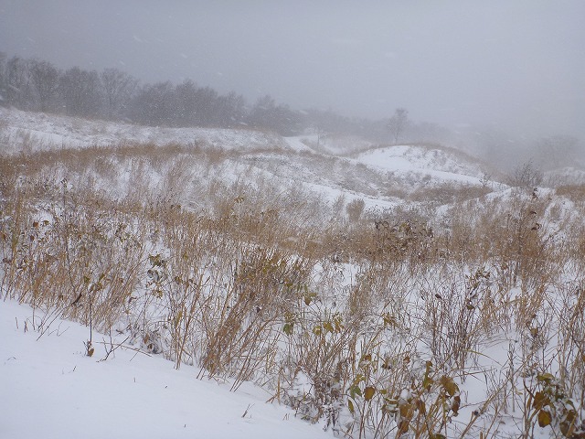 P1080462.jpg