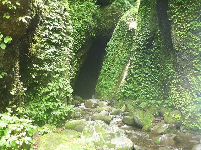 P1080794.jpg
