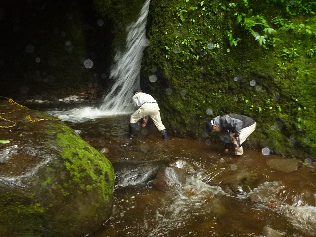 P1080796.jpg
