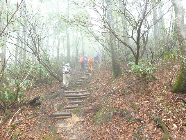 P1090248.jpg