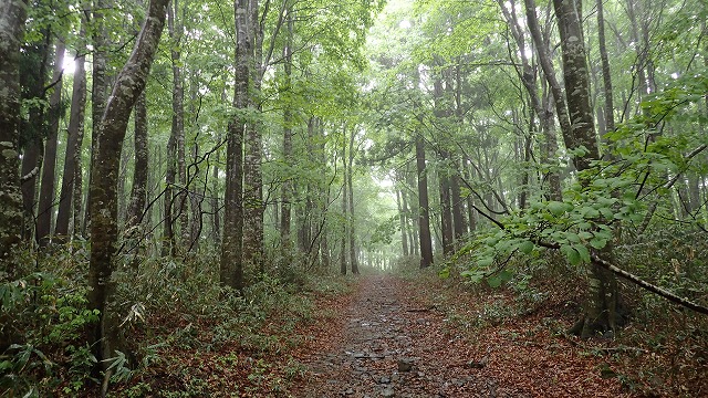 P5190007.jpg