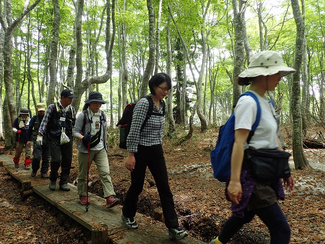 P5210079.jpg