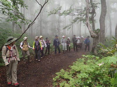 P5310018.jpg