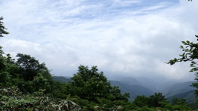 P5310057.jpg