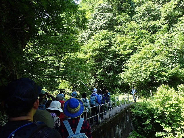 P6020006.jpg