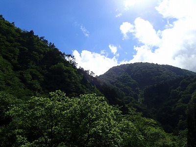P6060169.jpg