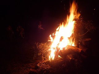 P7230134.jpg