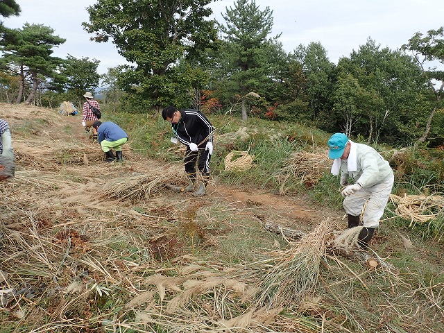 PA140035.jpg