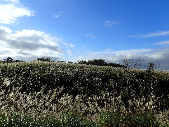 PA140048.jpg