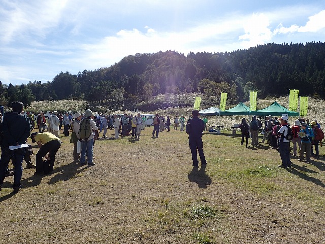 PA150034.jpg