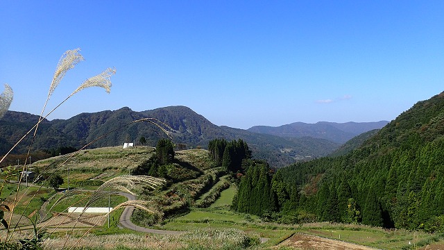 PA310130.jpg