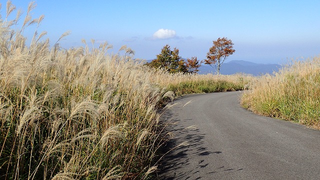 PA310145.jpg