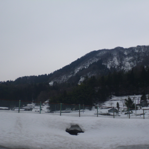 ueyama blog 20120316 002.jpg