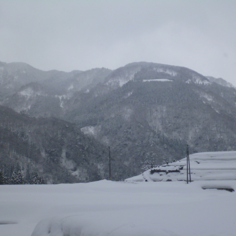 ueyama blog 20120326 001.jpg